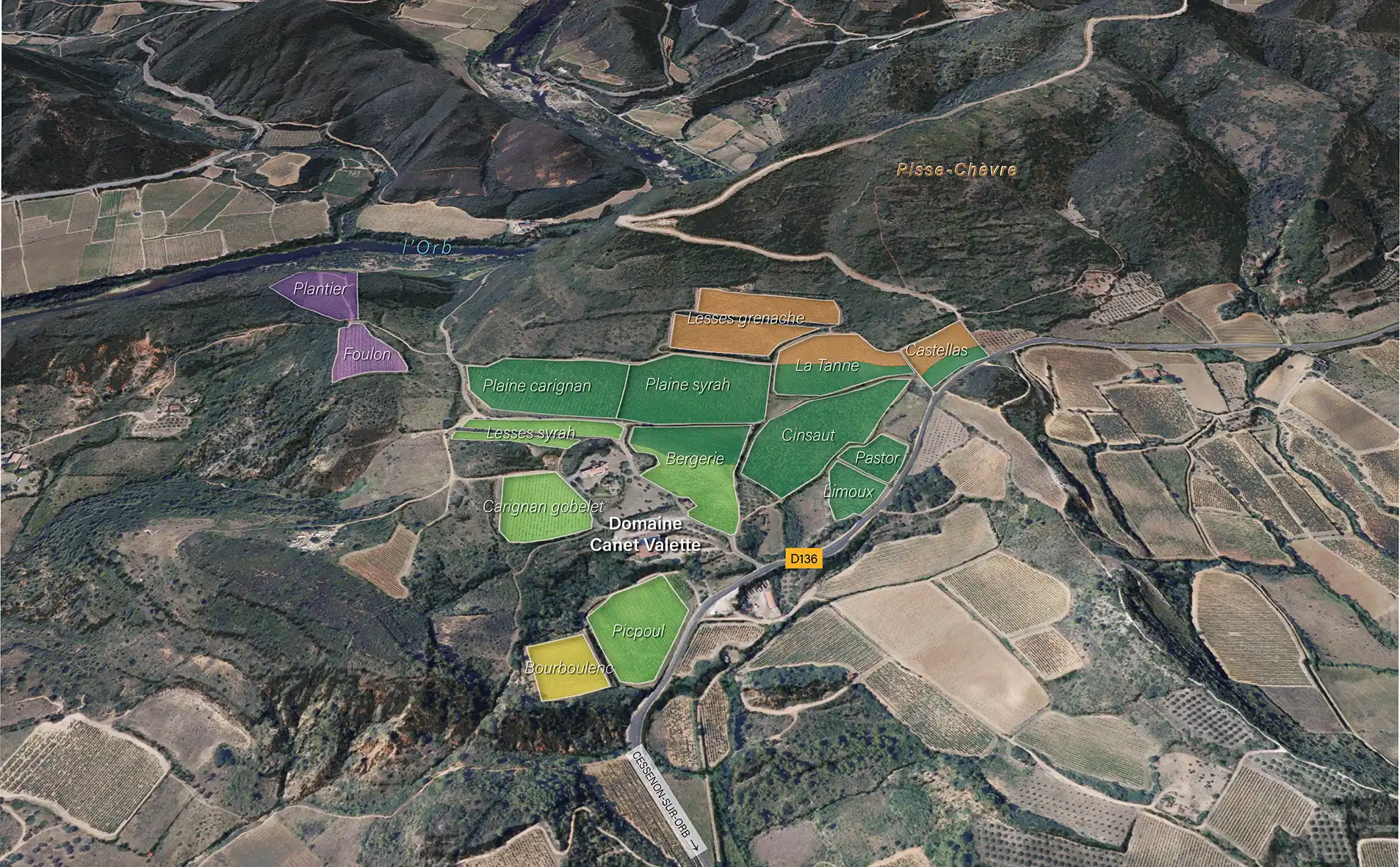 Canet Valette - le vignoble - AOC Saint Chinian